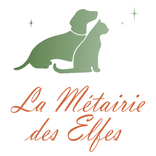 Pension animalière la Métairie des Elfes 22 Saint-Maden près Dinan Rennes St-Brieuc St-Malo.